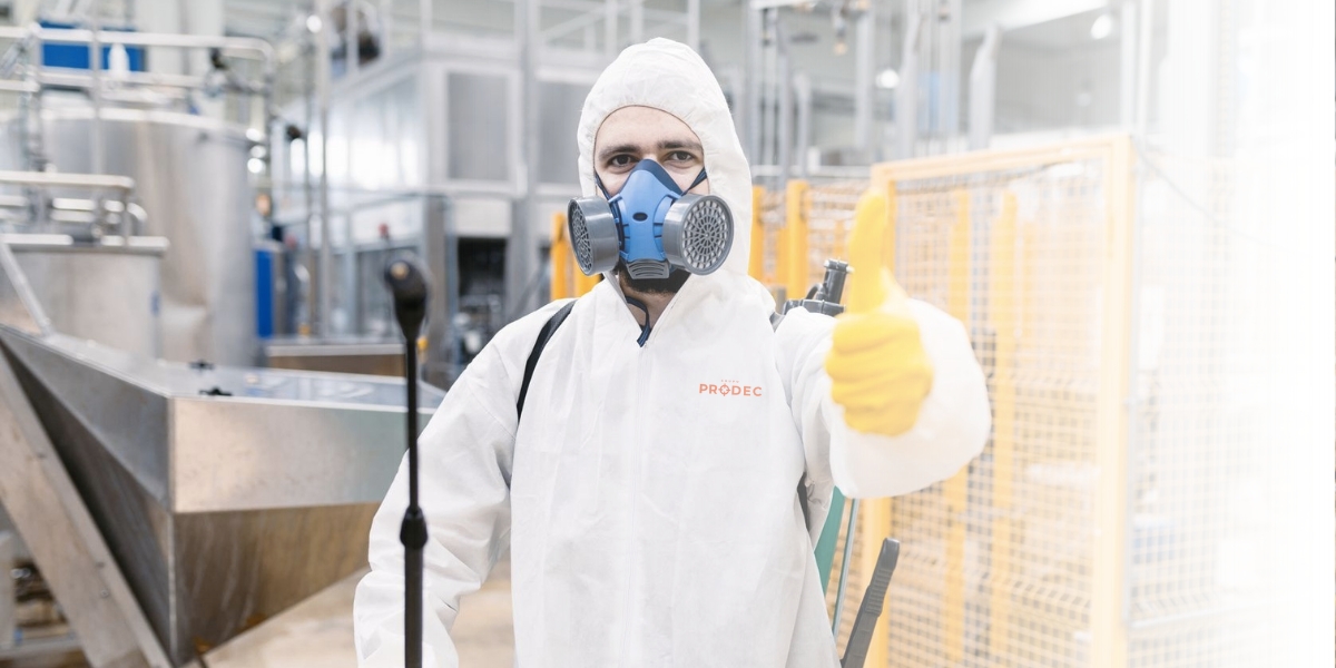 Servicio profesional de fumigación en Monterrey